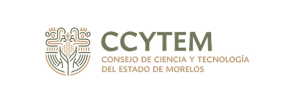 CCYTEM